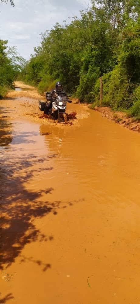 Muddy orange road through trees